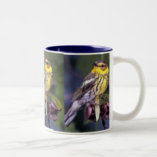Cape May Warbler, Vogelvogels Tweekleurige Koffiemok (Rechts)