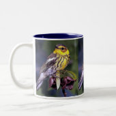 Cape May Warbler, Vogelvogels Tweekleurige Koffiemok (Links)