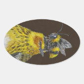 Cape May zanger stickers (Voorkant)