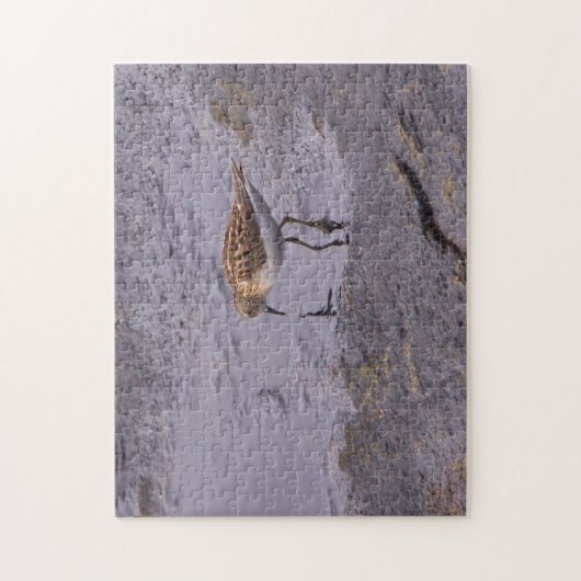 Cape Neddick Least Sandpiper Legpuzzel (Verticaal)