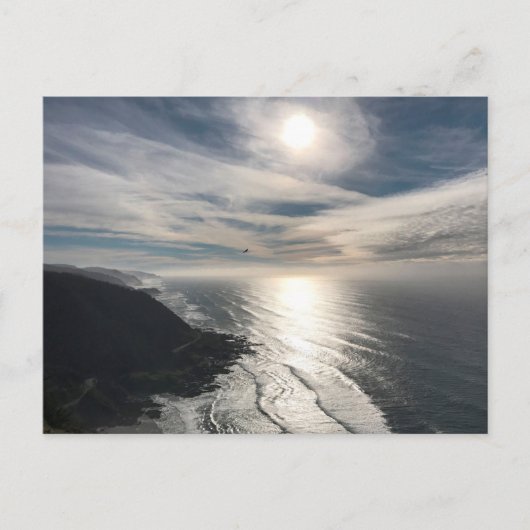 Cape Perpetua - Adelaar in vlucht - in de buurt va Briefkaart (Voorkant)