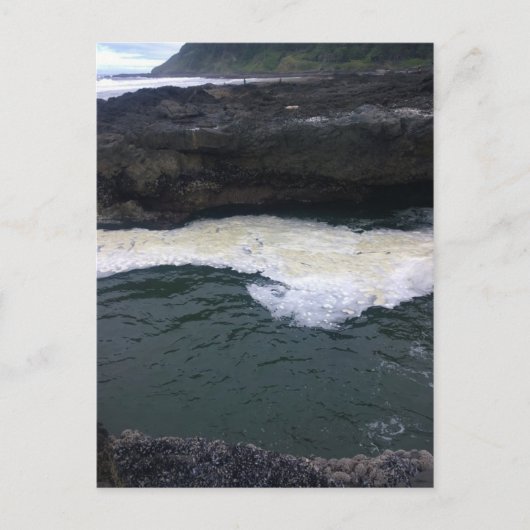 Cape Perpetua, oregonkust Briefkaart (Voorkant)