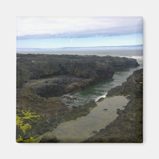 Cape Perpetua, oregonkust Magneet (Voorkant)