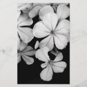 Cape plumbago briefpapier (Voorkant)