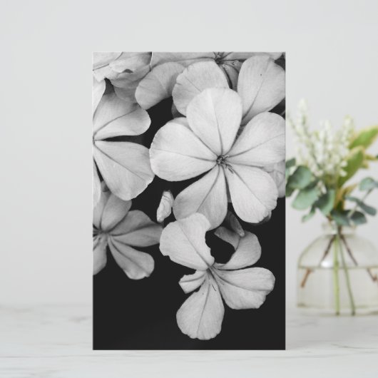 Cape plumbago briefpapier (Staand voorkant)