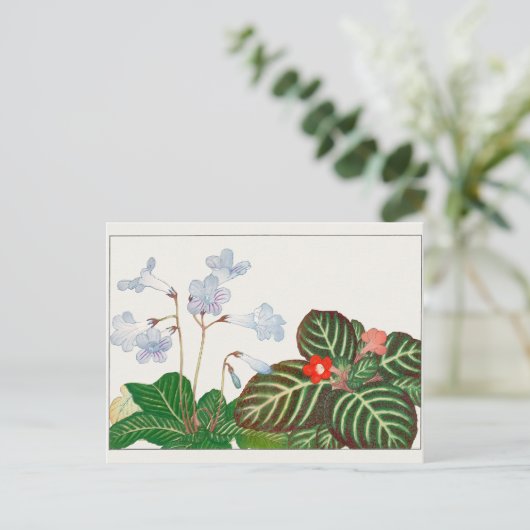 Cape primrose, vlamviolet door Tanigami Konan Briefkaart (Staand voorkant)