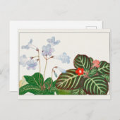 Cape primrose, vlamviolet door Tanigami Konan Briefkaart (Voorkant / Achterkant)