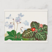 Cape primrose, vlamviolet door Tanigami Konan Briefkaart (Voorkant)