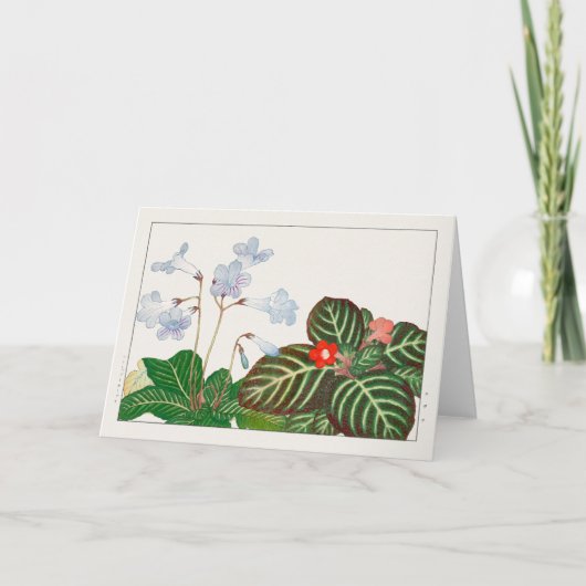 Cape primrose, vlamviolet door Tanigami Konan Kaart (Voorkant)