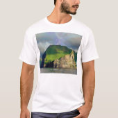 Cape Promontory T-shirt (Voorkant)