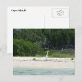 Cape Sable, Fl. Briefkaart (Voorkant / Achterkant)