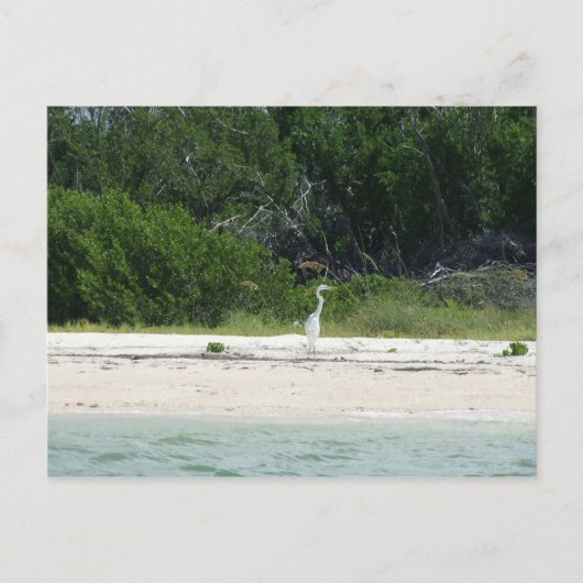 Cape Sable, Fl. Briefkaart (Voorkant)