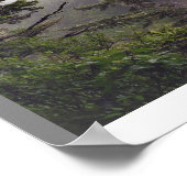 Cape-slagader in het poster van de Regen panoramie (Hoek)