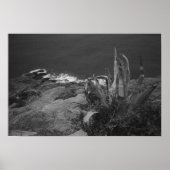 Cape Sounion, Griekenland Poster (Voorkant)