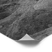 Cape Sounion, Griekenland Poster (Hoek)