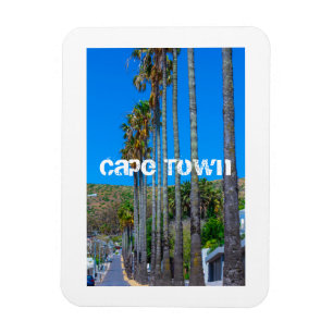 Cape Town Fresnaye Architecture South Africa Magneet