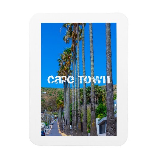 Cape Town Fresnaye Architecture South Africa Magneet (Verticaal)