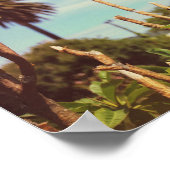 Cape Town Table Mountain Lion's Head Poster (Hoek)