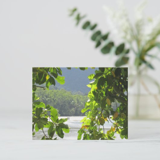 Cape Tribulation - Australia Briefkaart (Staand voorkant)