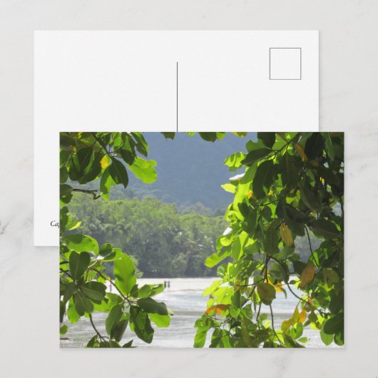 Cape Tribulation - Australia Briefkaart (Voorkant / Achterkant)