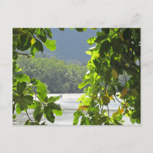 Cape Tribulation - Australia Briefkaart
