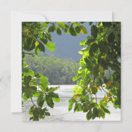 Cape Tribulation Platkaart Kaart