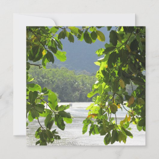 Cape Tribulation Platkaart Kaart (Voorkant)