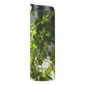 Cape Tribulation Thermosbeker (Geroteerd rechts)