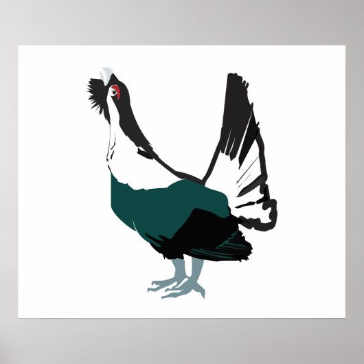 Capercaillie Art Value Poster Paper (Matte) (Voorkant)