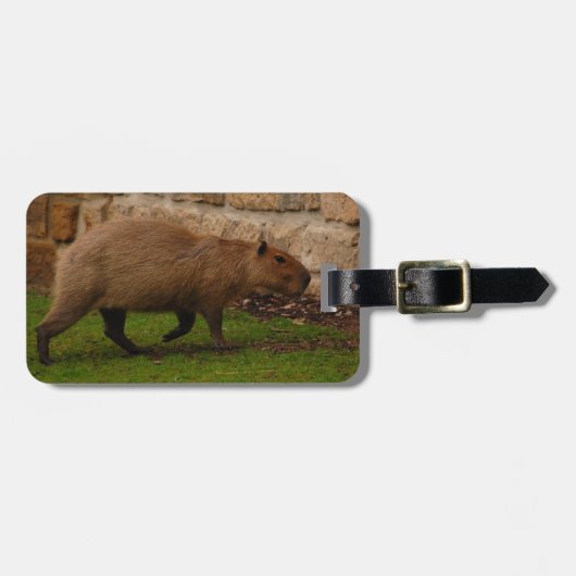 capibara bagagelabel (Voorkant horizontaal)