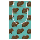 Capibara Klein Cadeauzakje (Voorkant)