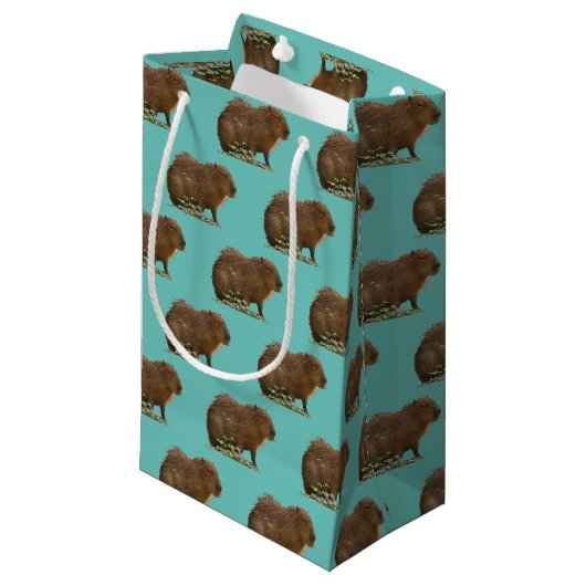 Capibara Klein Cadeauzakje (Voorkant Gekanteld)
