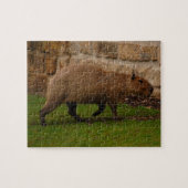 capibara legpuzzel (Horizontaal)
