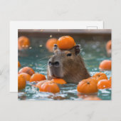 Capibara met drijvende Sinaasappels Briefkaart (Voorkant / Achterkant)