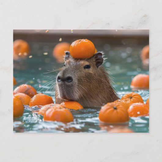 Capibara met drijvende Sinaasappels Briefkaart (Voorkant)