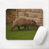 capibara muismat (Met muis)