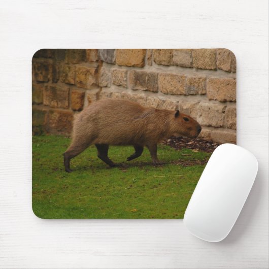 capibara muismat (Met muis)
