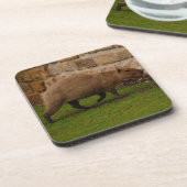 capibara onderzetter (Linkerzijde)