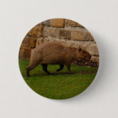 capibara ronde button 5,7 cm (Voorkant)