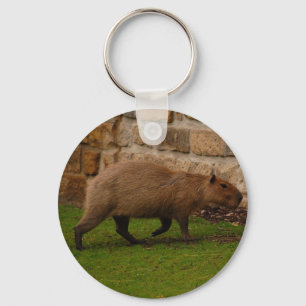 capibara sleutelhanger