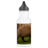 capibara waterfles (Links)