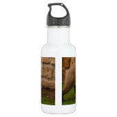 capibara waterfles (Achterkant)