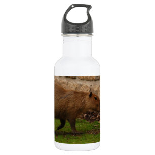 capibara waterfles