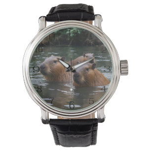 Capibara zwemt in de rivier, horloge