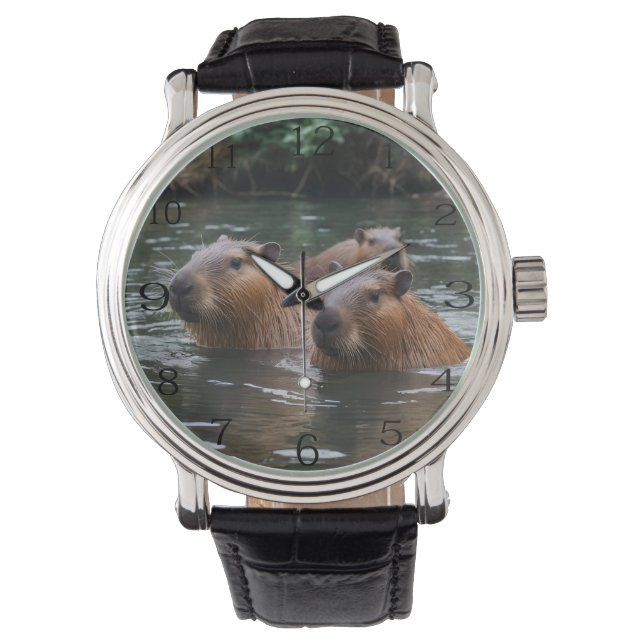 Capibara zwemt in de rivier, horloge (Voorkant)