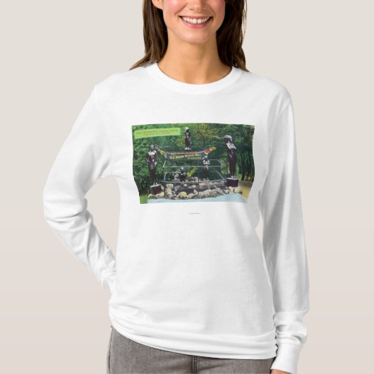 Capilano Canyon Indian Wishing Well Uitzicht T-shirt (Voorkant)