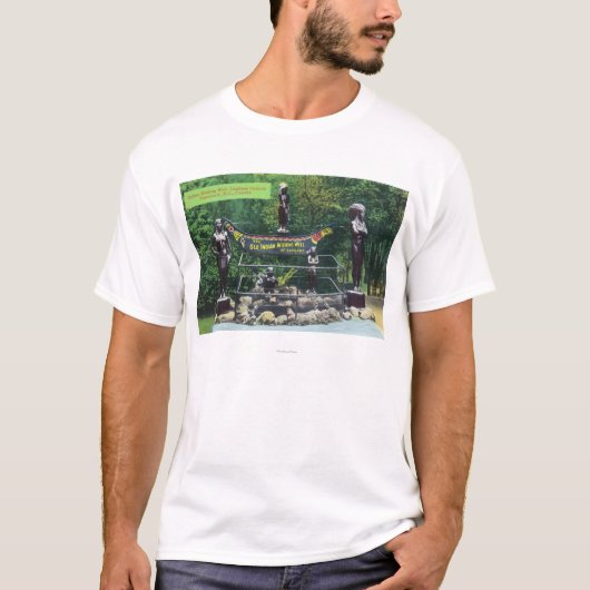 Capilano Canyon Indian Wishing Well Uitzicht T-shirt (Voorkant)