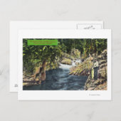 Capilano Canyon Uitzicht van de zalmpool Briefkaart (Voorkant / Achterkant)