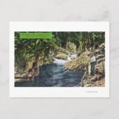 Capilano Canyon Uitzicht van de zalmpool Briefkaart (Voorkant)