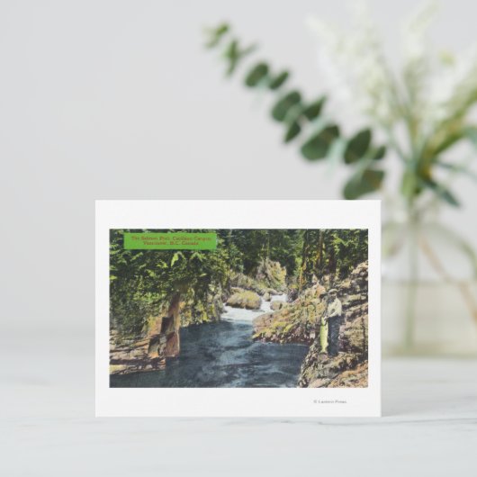 Capilano Canyon Uitzicht van de zalmpool Briefkaart (Staand voorkant)